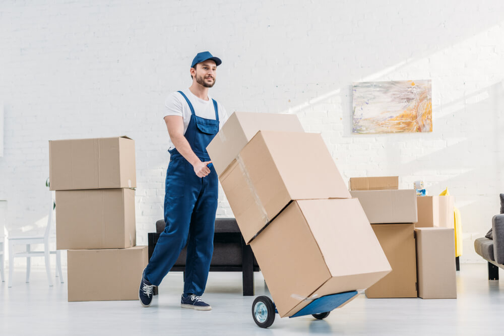 Long Distance Moving Services Wheat Ridge